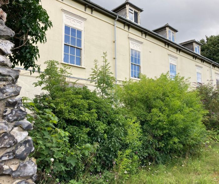 The Wilderness, Norwich Ilex Homes